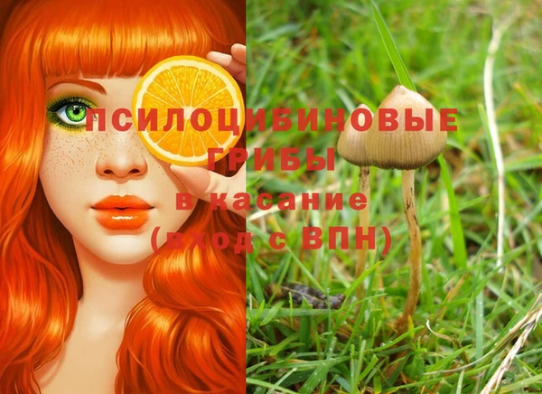 экстази Лагань