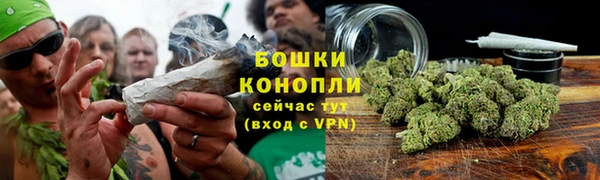 дмт Лабытнанги