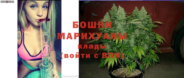 дмт Лабытнанги