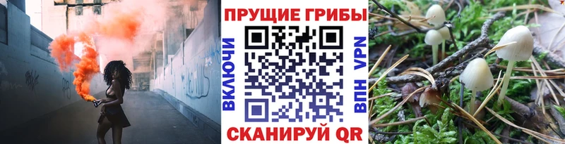 Галлюциногенные грибы Magic Shrooms  Купить  Ростов 